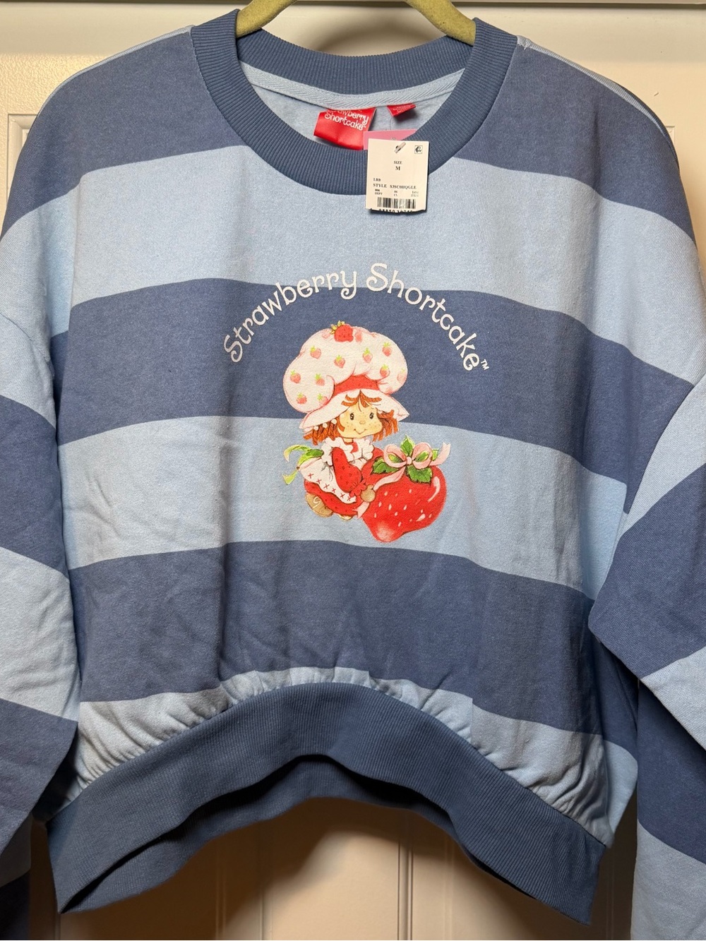 Strawberry Shortcake crop sweater